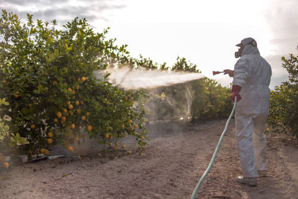 Trusted Vado, NM Pest Control Experts