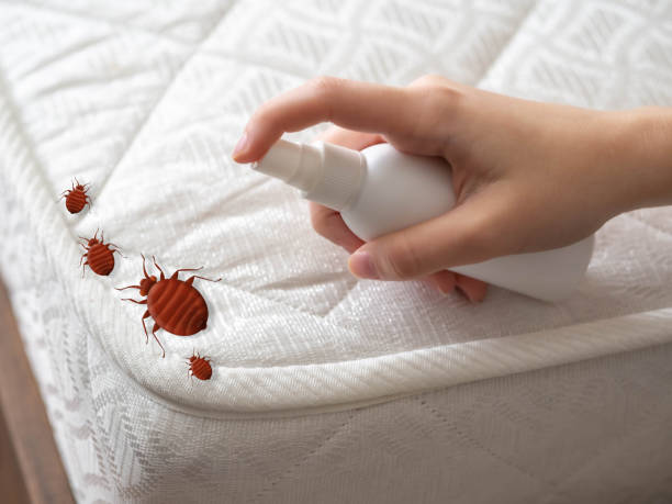 Pest Prevention Services in Vado, NM